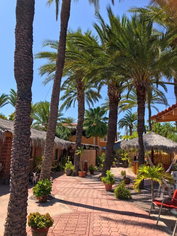 Sukasa Bungalows Loreto  Bagian luar foto