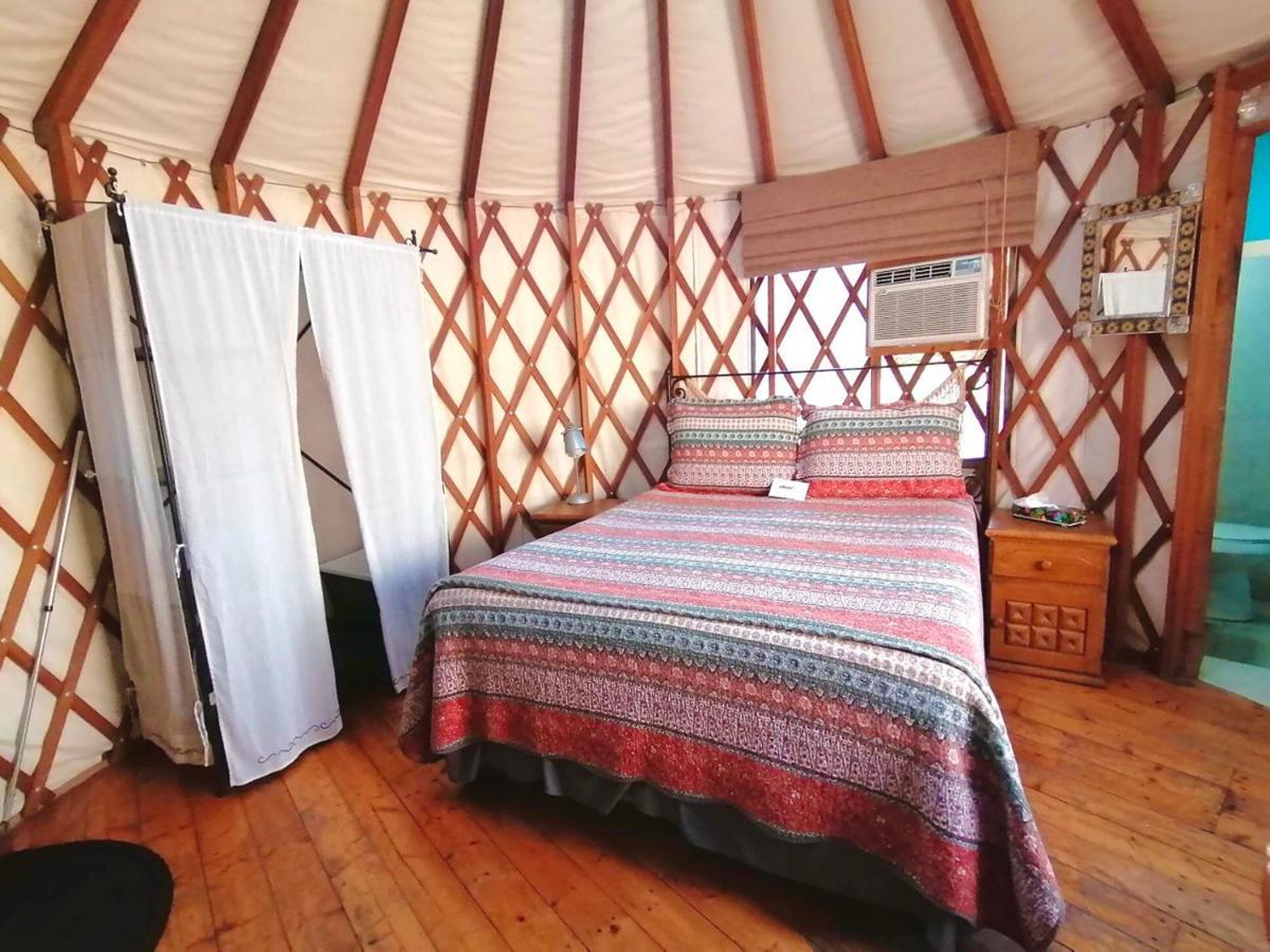 Sukasa Bungalows Loreto  Bagian luar foto